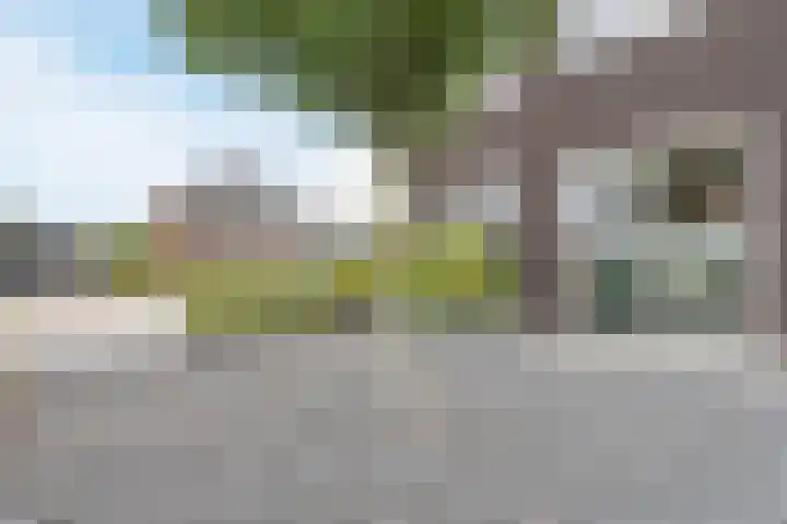 Edelhert 1 Hoogeveen thumbnail 10