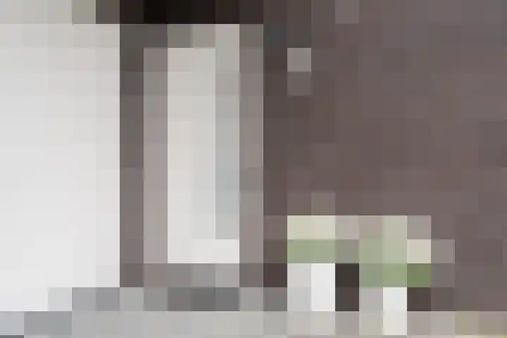Edelhert 1 Hoogeveen thumbnail 11