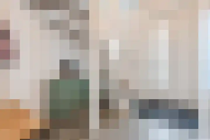 Edelhert 1 Hoogeveen thumbnail 13
