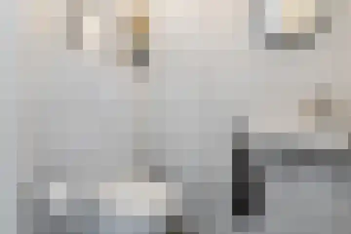 Edelhert 1 Hoogeveen thumbnail 14