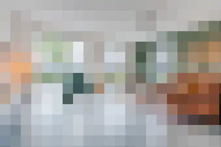 Edelhert 1 Hoogeveen thumbnail 15