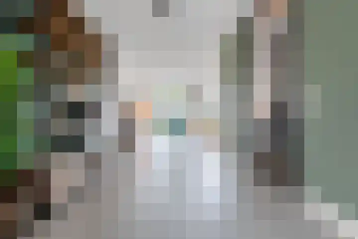 Edelhert 1 Hoogeveen thumbnail 17