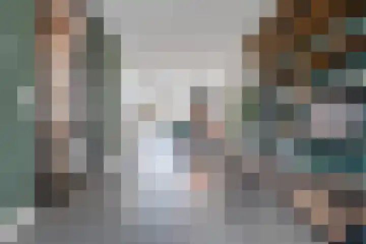 Edelhert 1 Hoogeveen thumbnail 18