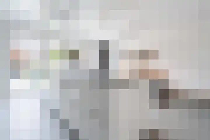 Edelhert 1 Hoogeveen thumbnail 21