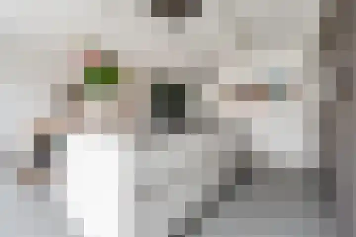 Edelhert 1 Hoogeveen thumbnail 27