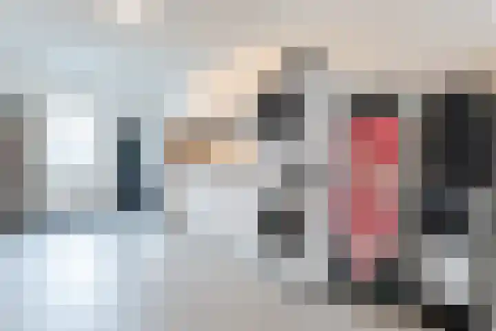 Edelhert 1 Hoogeveen thumbnail 29