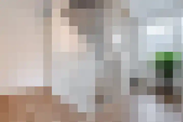 Edelhert 1 Hoogeveen thumbnail 30