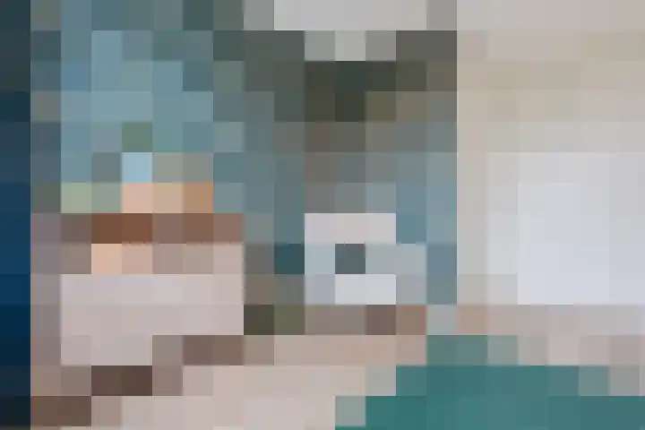 Edelhert 1 Hoogeveen thumbnail 36