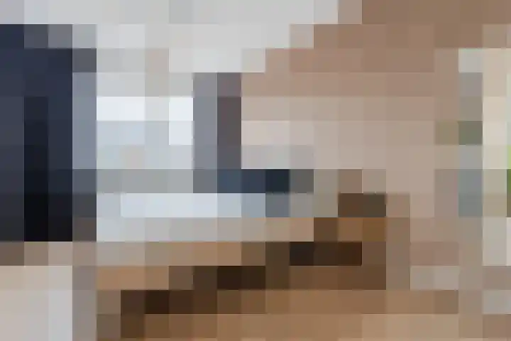 Edelhert 1 Hoogeveen thumbnail 37