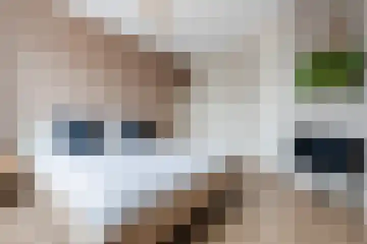 Edelhert 1 Hoogeveen thumbnail 38