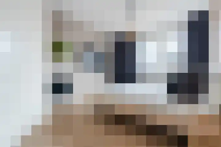 Edelhert 1 Hoogeveen thumbnail 39