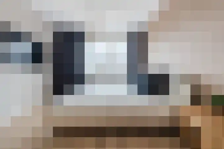 Edelhert 1 Hoogeveen thumbnail 40