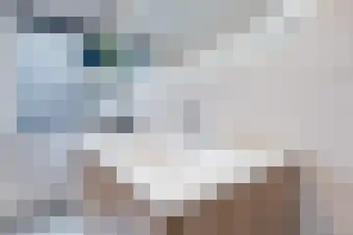 Edelhert 1 Hoogeveen thumbnail 42
