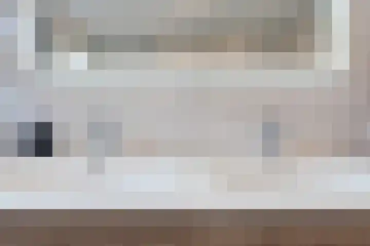 Edelhert 1 Hoogeveen thumbnail 45