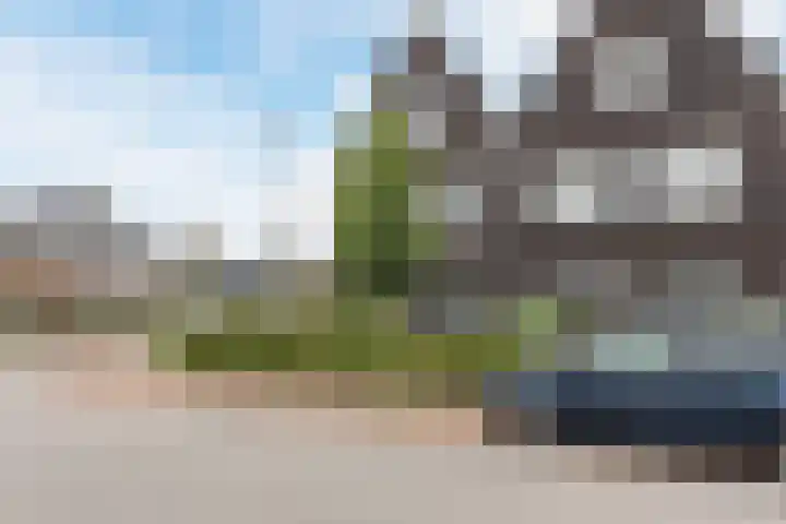 Edelhert 1 Hoogeveen thumbnail 5