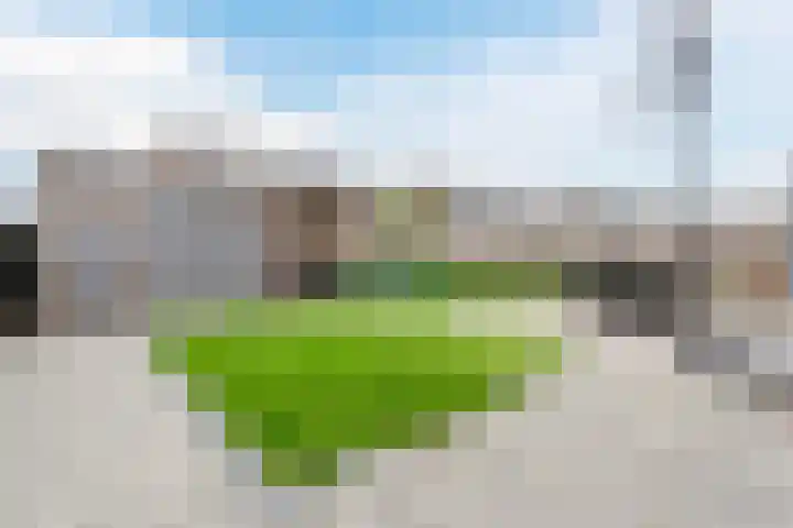 Edelhert 1 Hoogeveen thumbnail 56