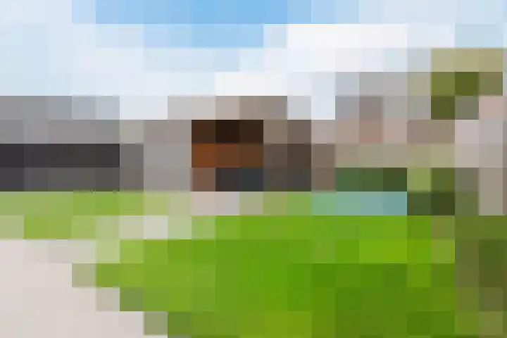 Edelhert 1 Hoogeveen thumbnail 57