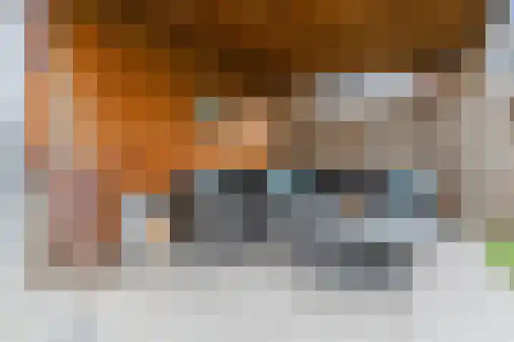 Edelhert 1 Hoogeveen thumbnail 58