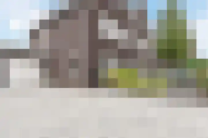 Edelhert 1 Hoogeveen thumbnail 6