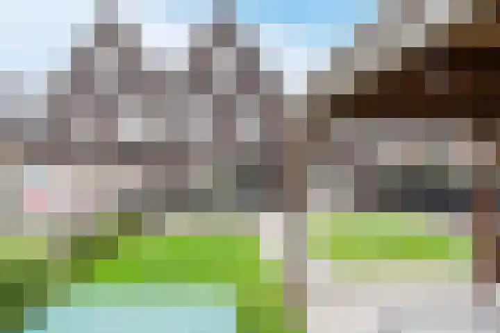 Edelhert 1 Hoogeveen thumbnail 60