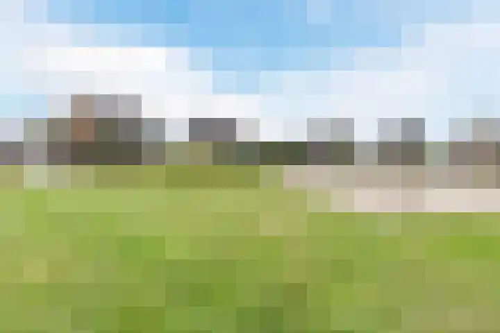 Edelhert 1 Hoogeveen thumbnail 61