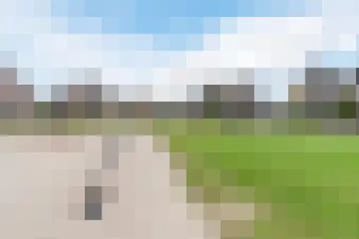 Edelhert 1 Hoogeveen thumbnail 62