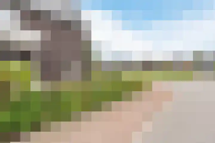 Edelhert 1 Hoogeveen thumbnail 8