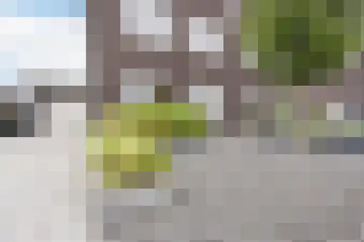 Edelhert 1 Hoogeveen thumbnail 9