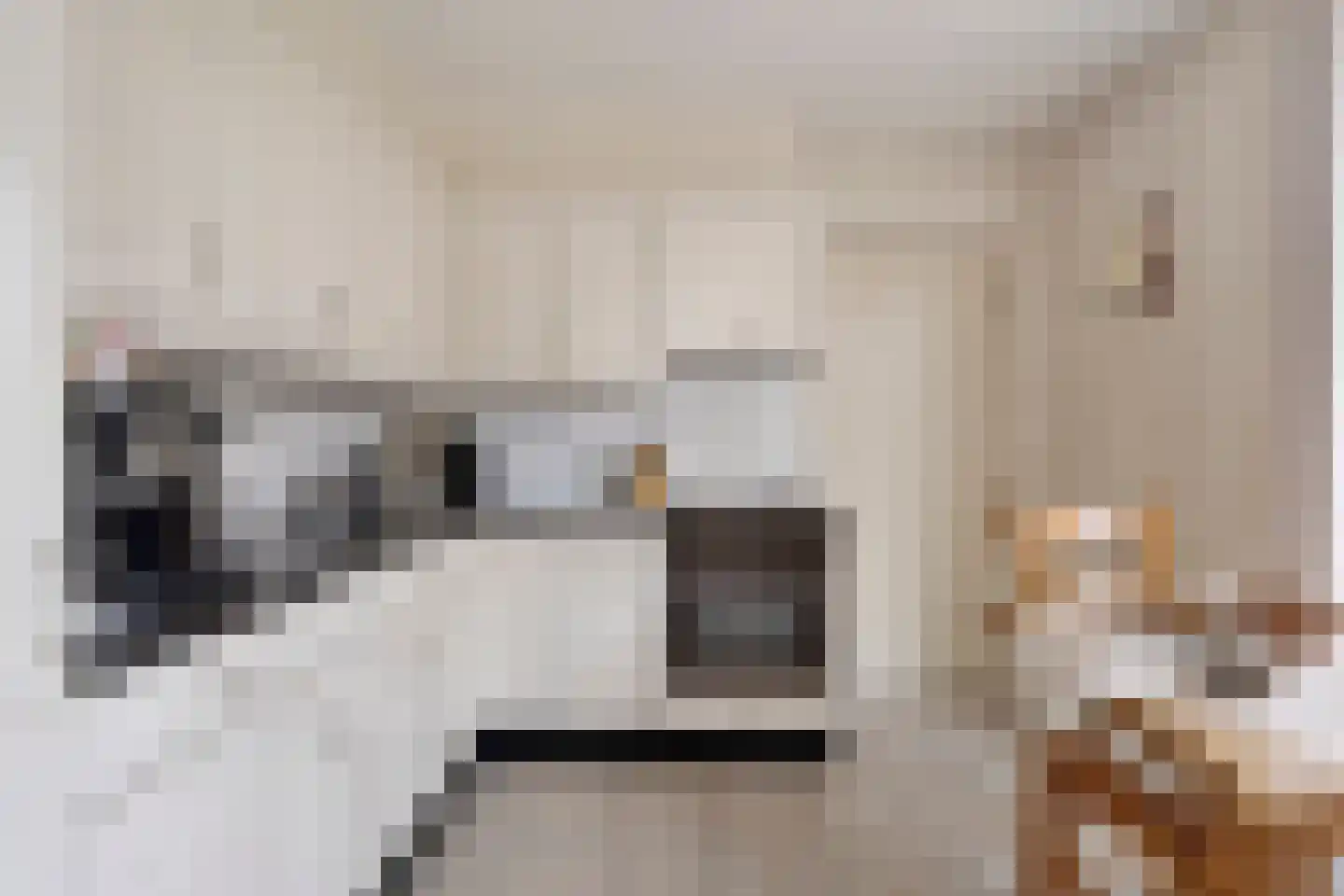 Edelhert 1 Sint Hubert thumbnail 20