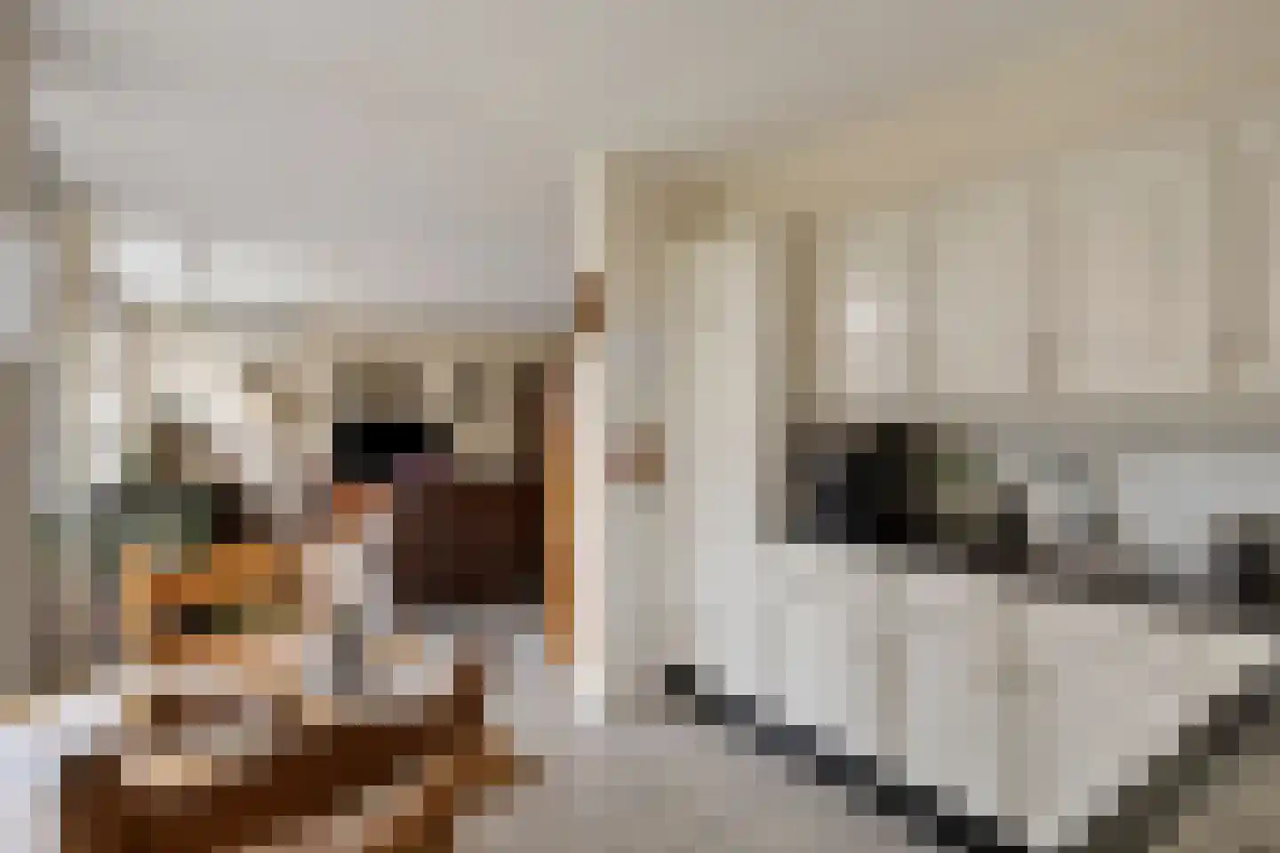 Edelhert 1 Sint Hubert thumbnail 21