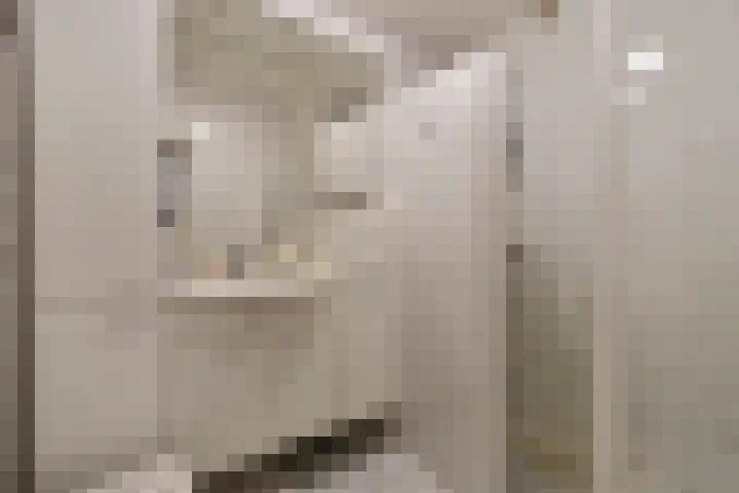 Edelhert 1 Sint Hubert thumbnail 25