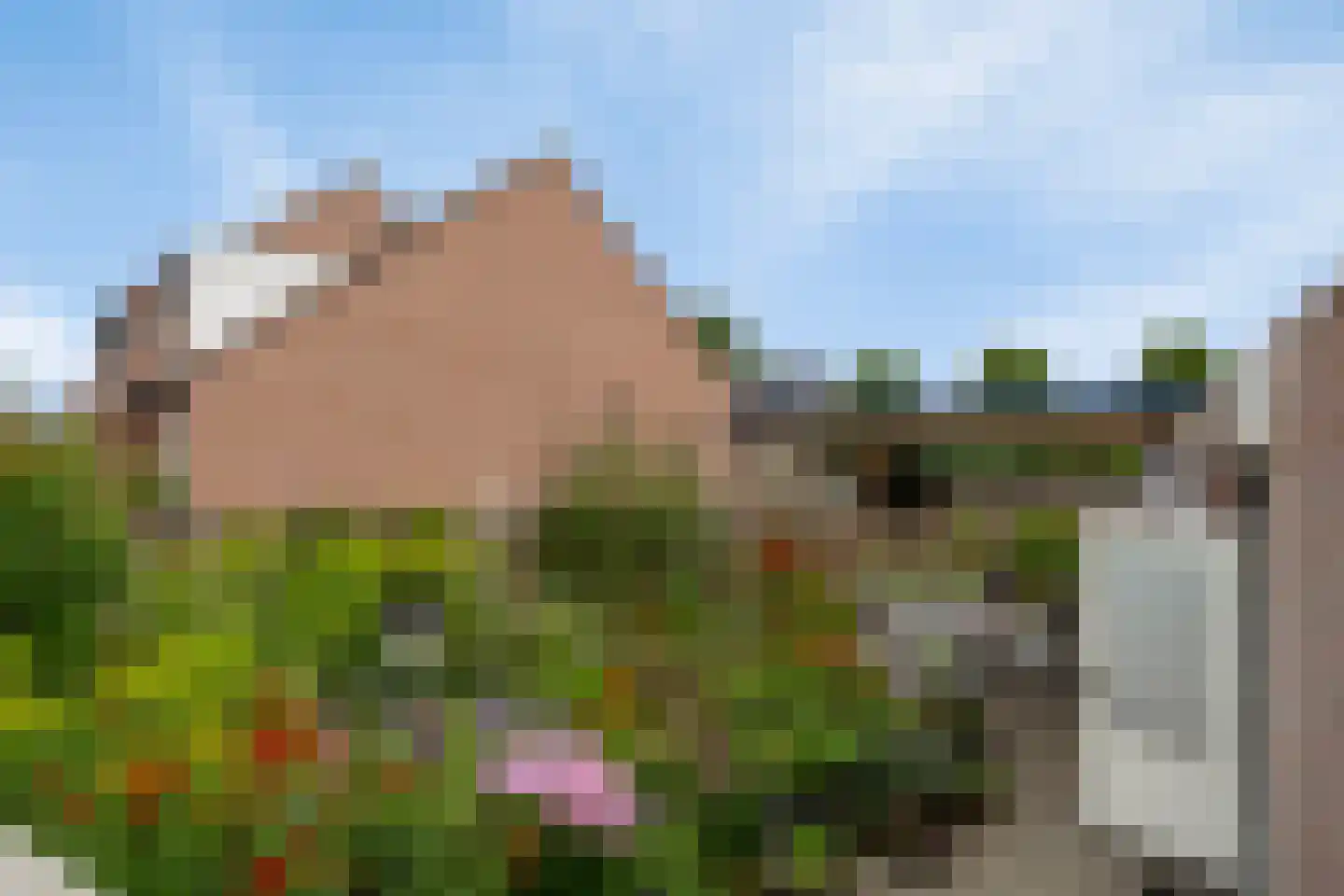 Edelhert 1 Sint Hubert thumbnail 33