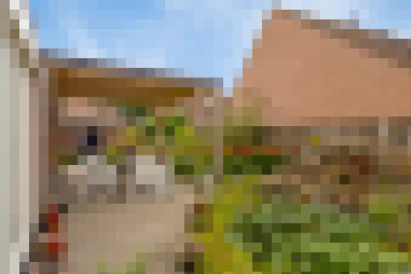 Edelhert 1 Sint Hubert thumbnail 36