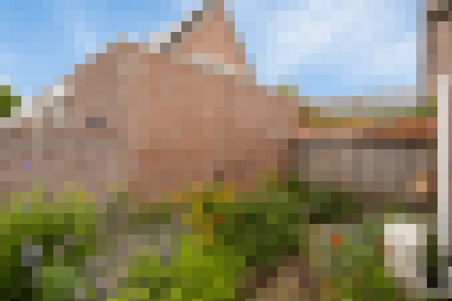 Edelhert 1 Sint Hubert thumbnail 37
