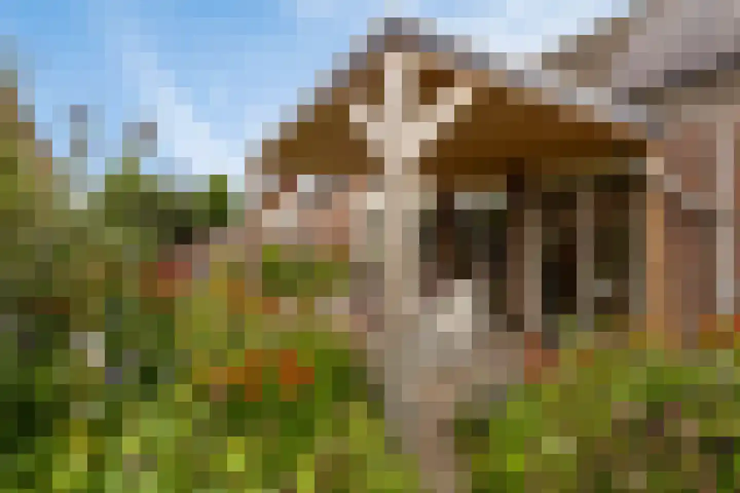 Edelhert 1 Sint Hubert thumbnail 4