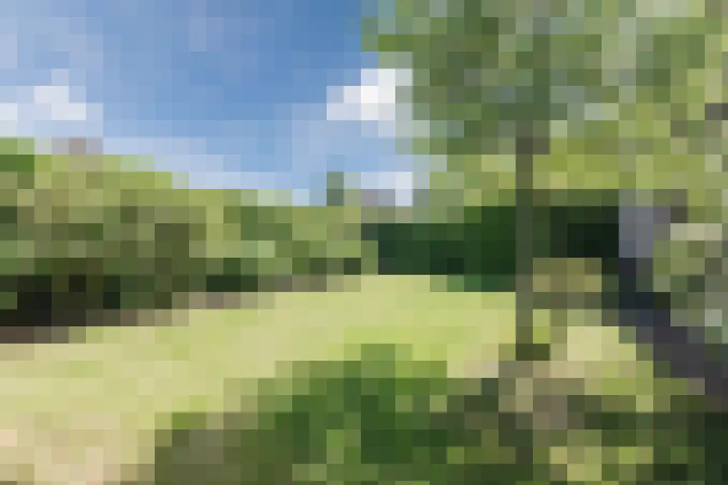 Edelhert 32 Sint Hubert thumbnail 28