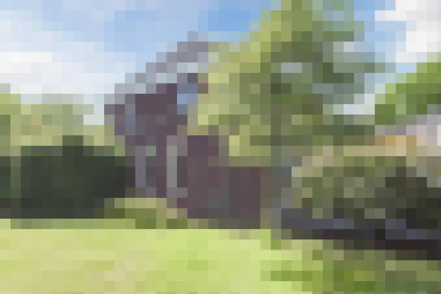 Edelhert 32 Sint Hubert thumbnail 30