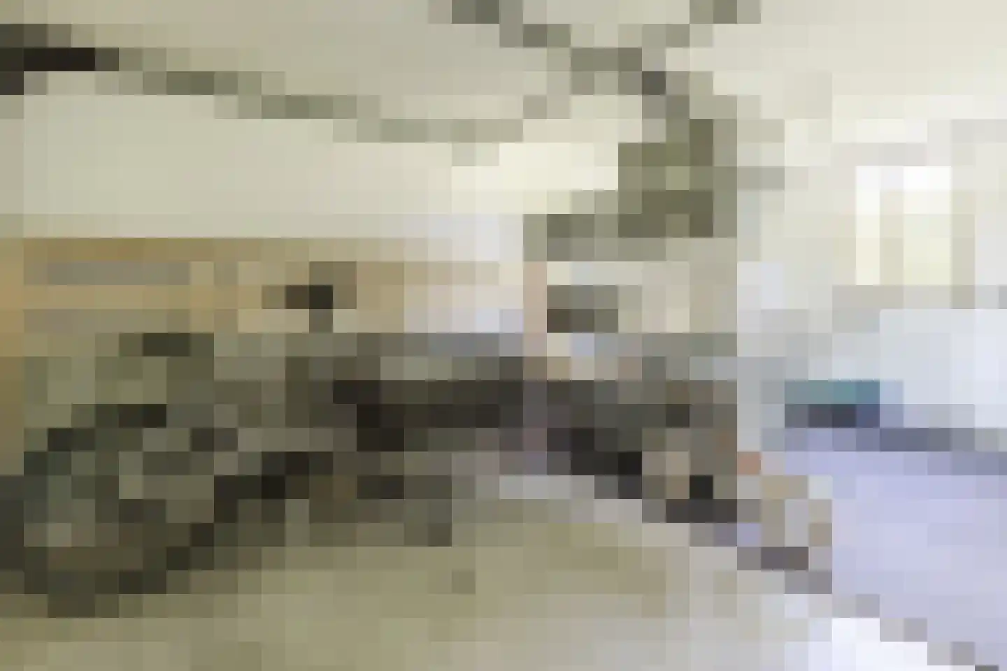 Edelhert 32 Sint Hubert thumbnail 33