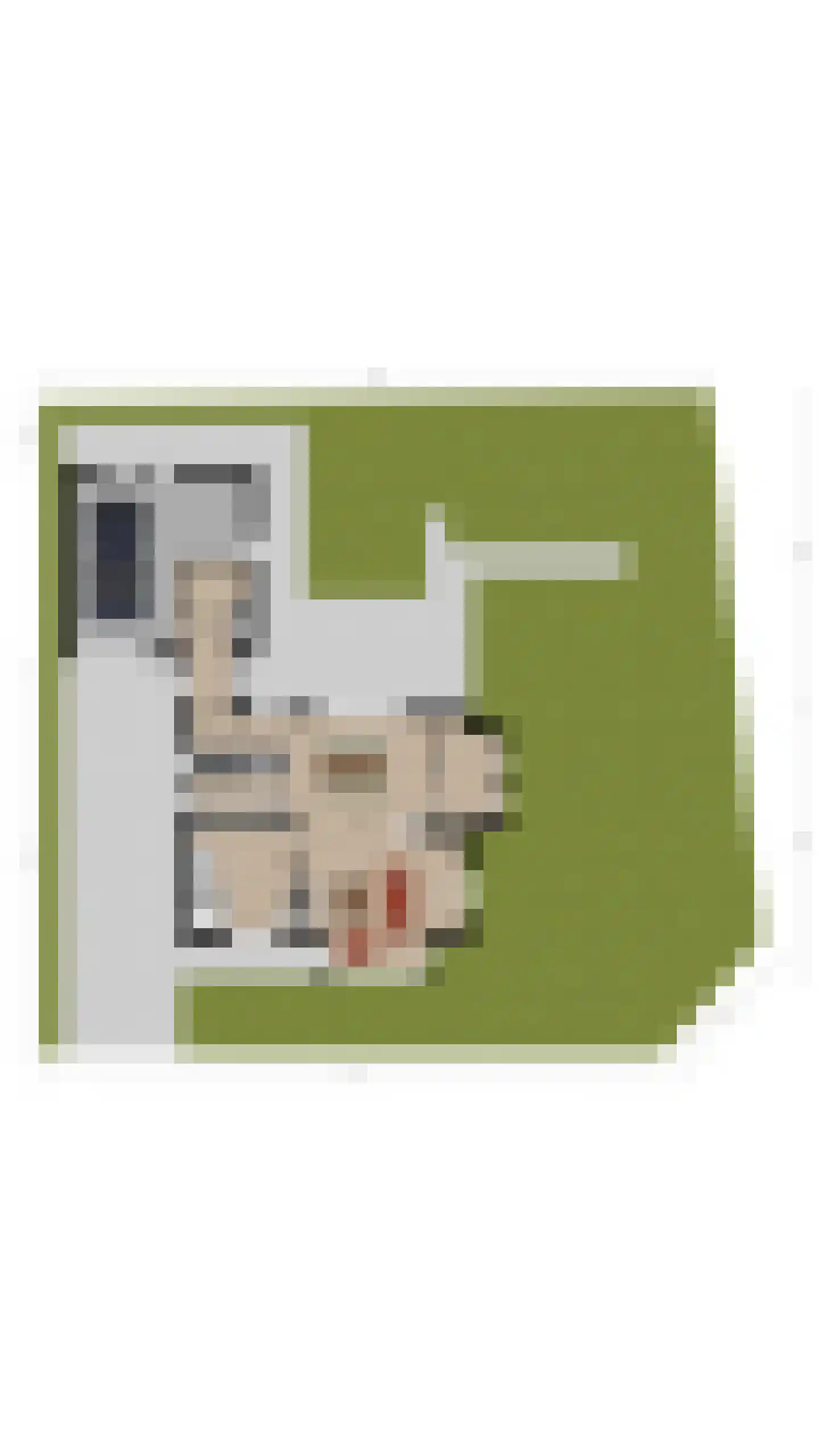 Edelhert 32 Sint Hubert thumbnail 37