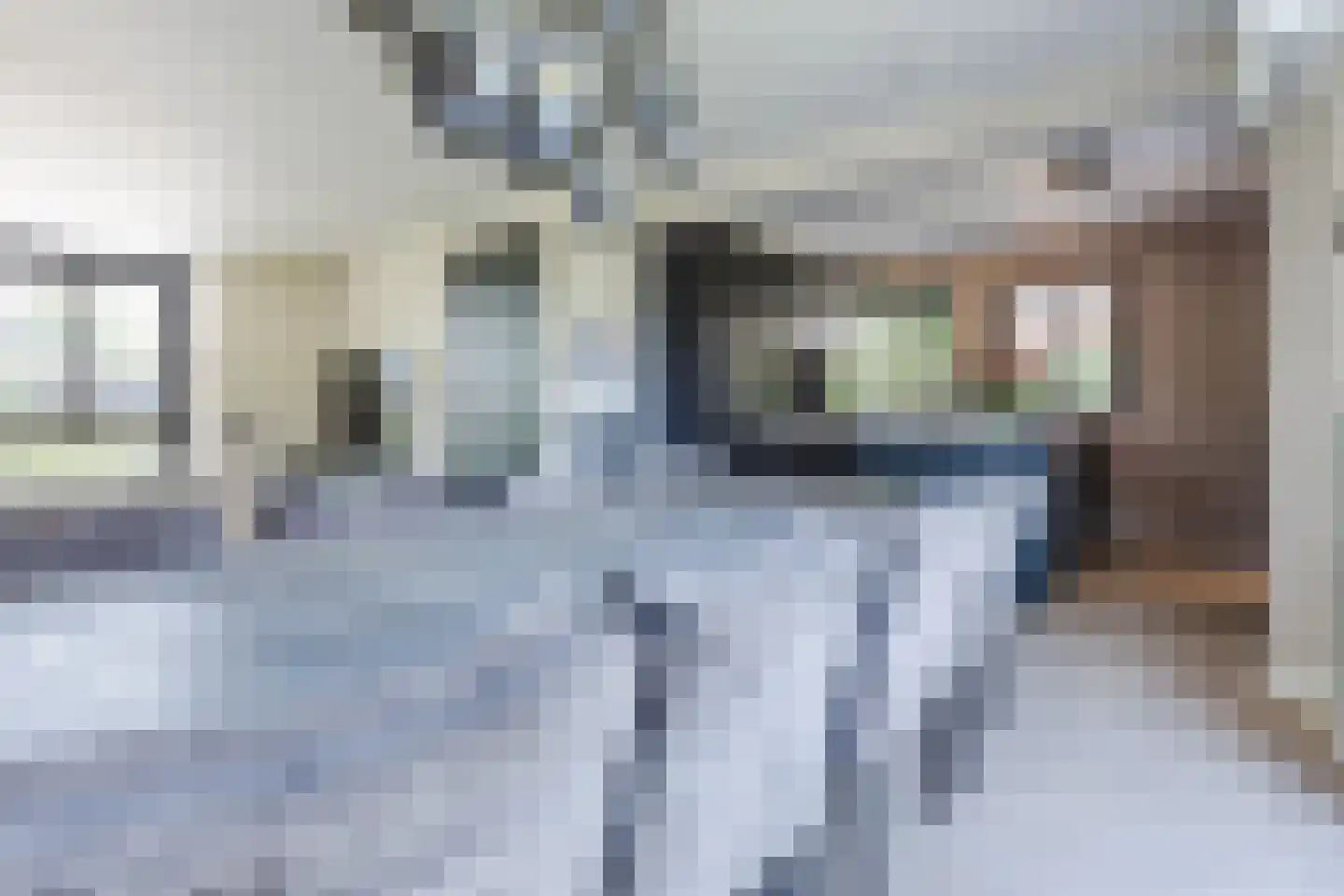 Edelhert 32 Sint Hubert thumbnail 9