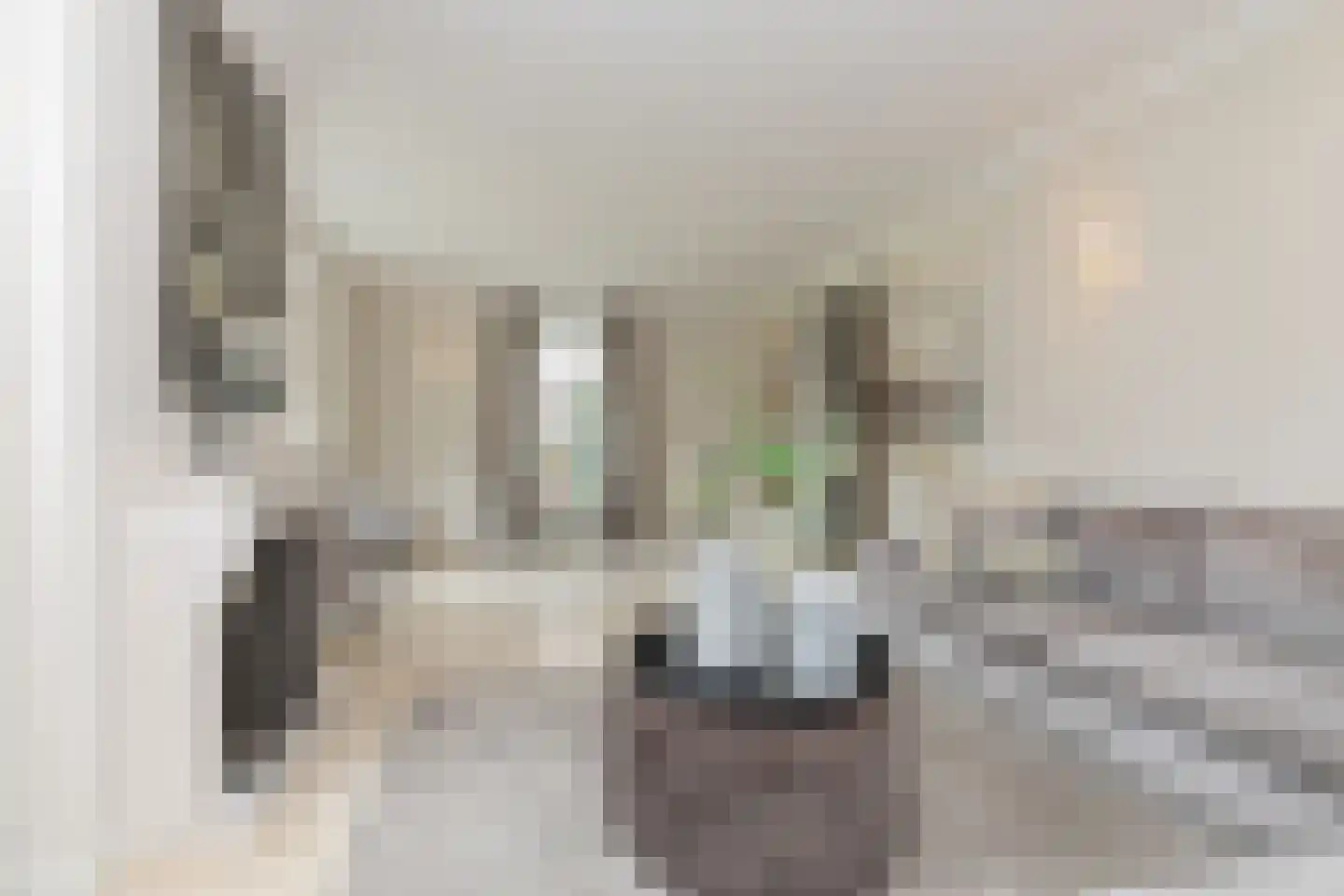 Edelhert 4 Hoogeveen thumbnail 16