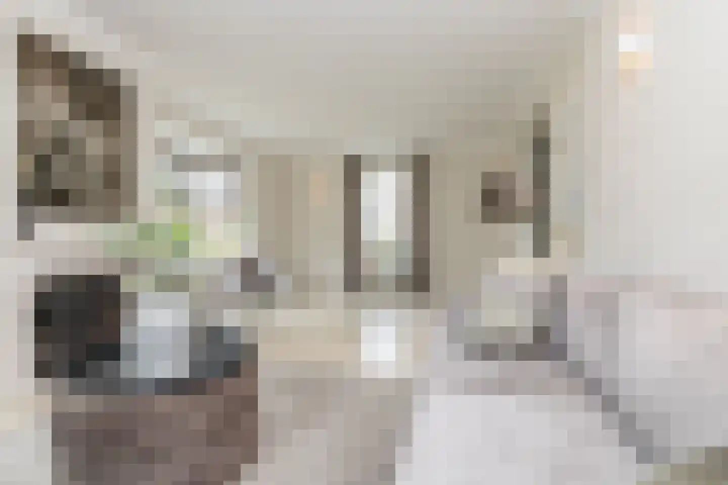 Edelhert 4 Hoogeveen thumbnail 17