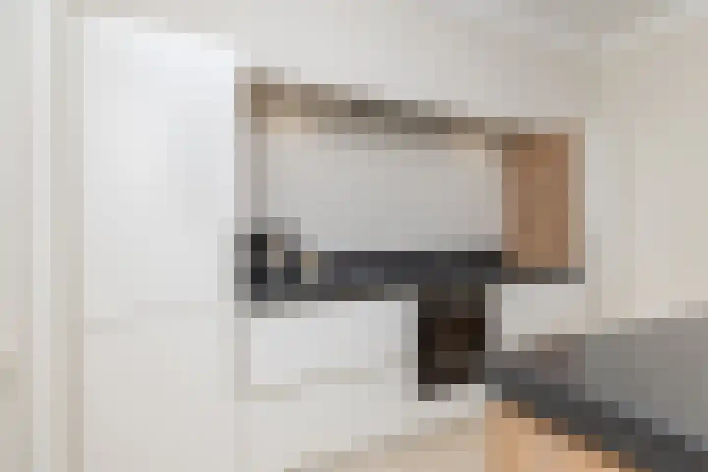 Edelhert 4 Hoogeveen thumbnail 27