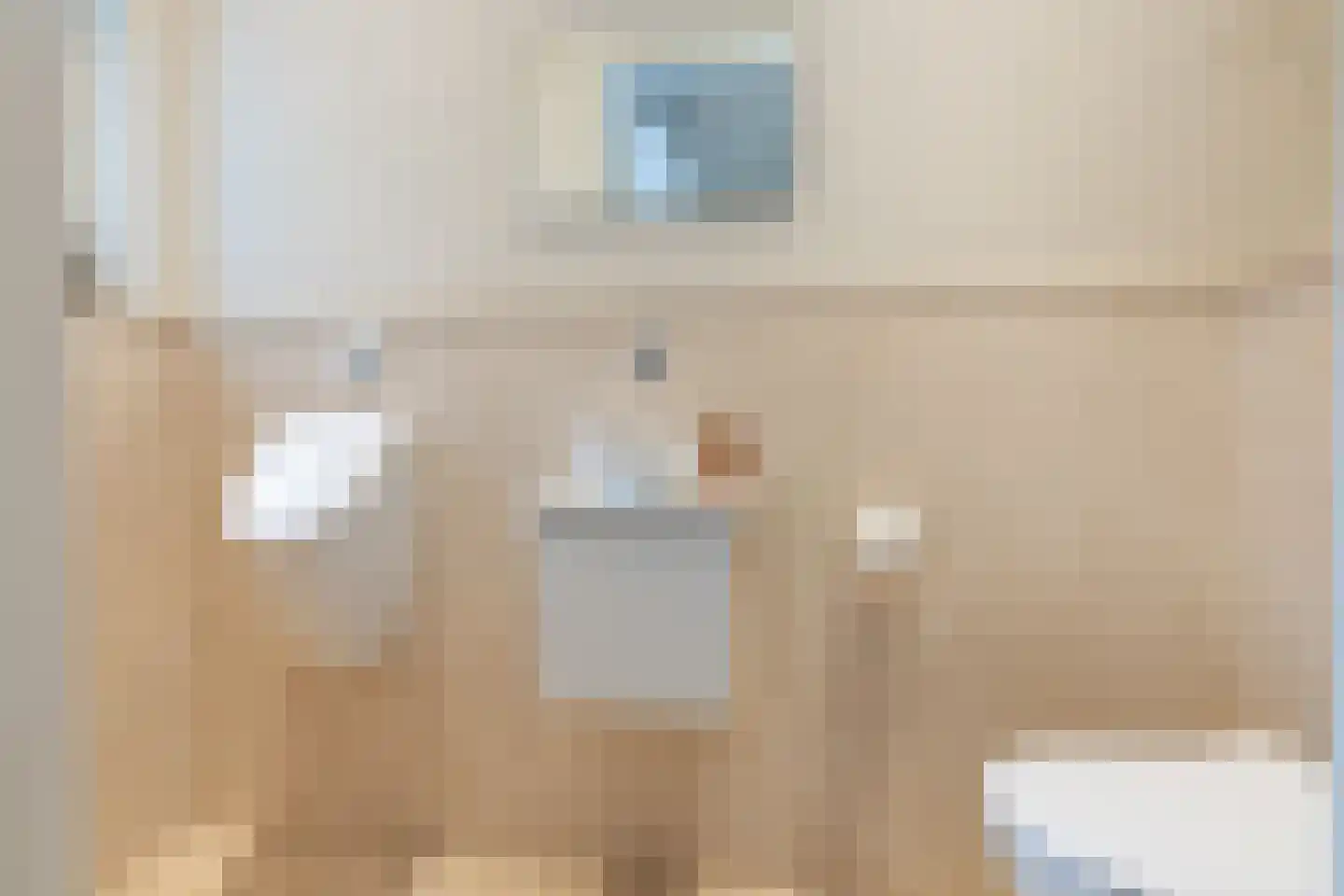 Edelhert 4 Hoogeveen thumbnail 32