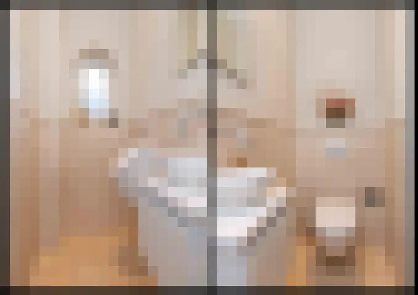 Edelhert 4 Hoogeveen thumbnail 33
