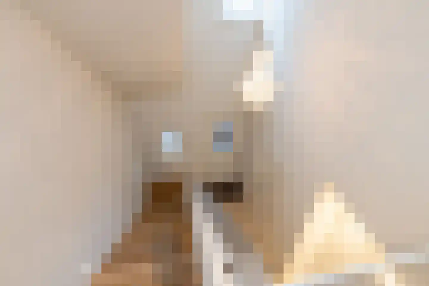 Edelhert 4 Hoogeveen thumbnail 34
