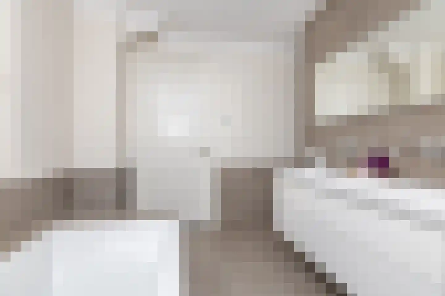 Edelhert 4 Hoogeveen thumbnail 43