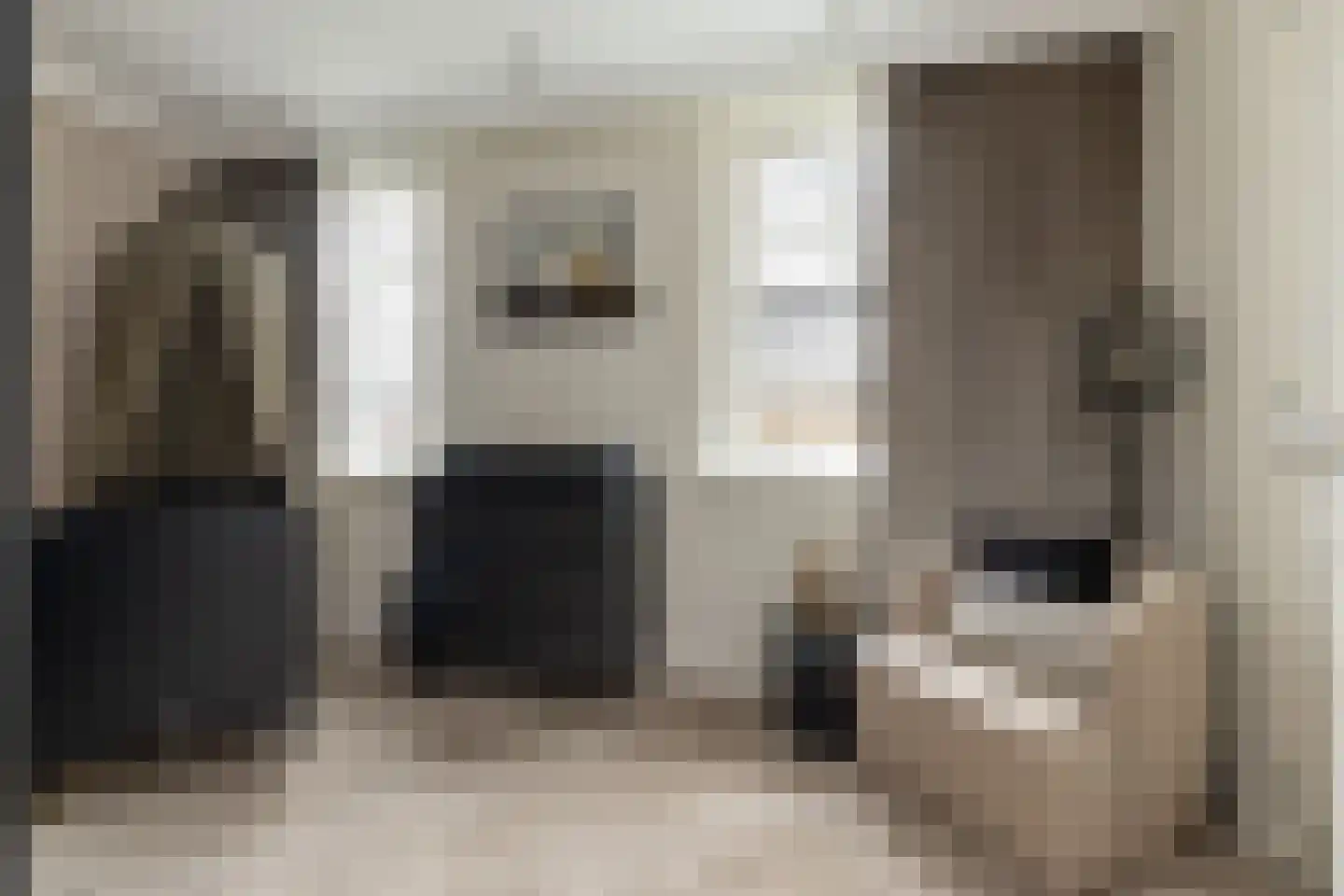 Edelhert 4 Hoogeveen thumbnail 45