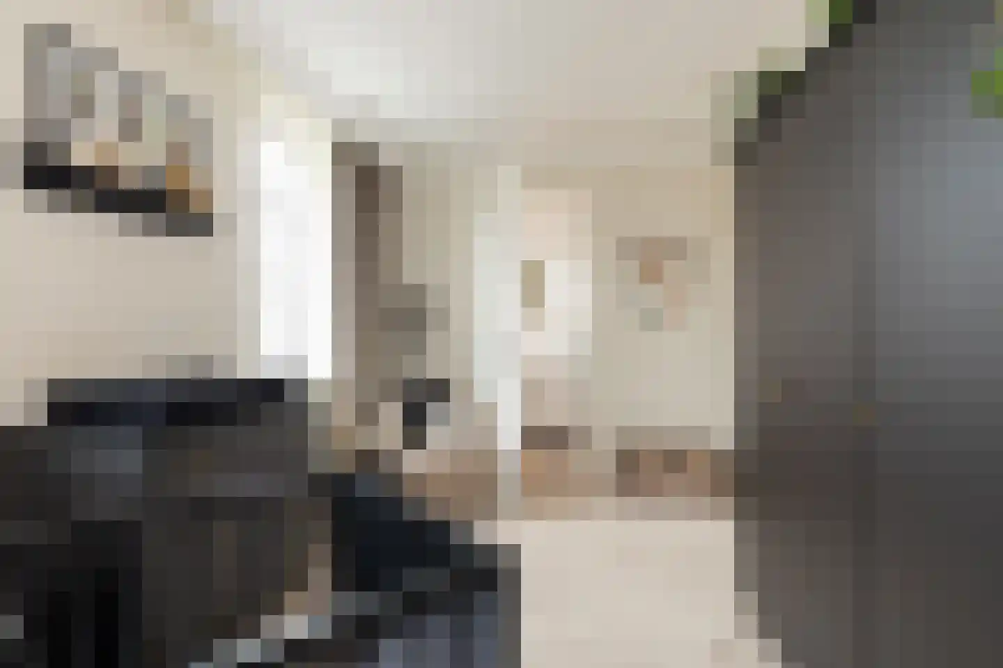 Edelhert 4 Hoogeveen thumbnail 47