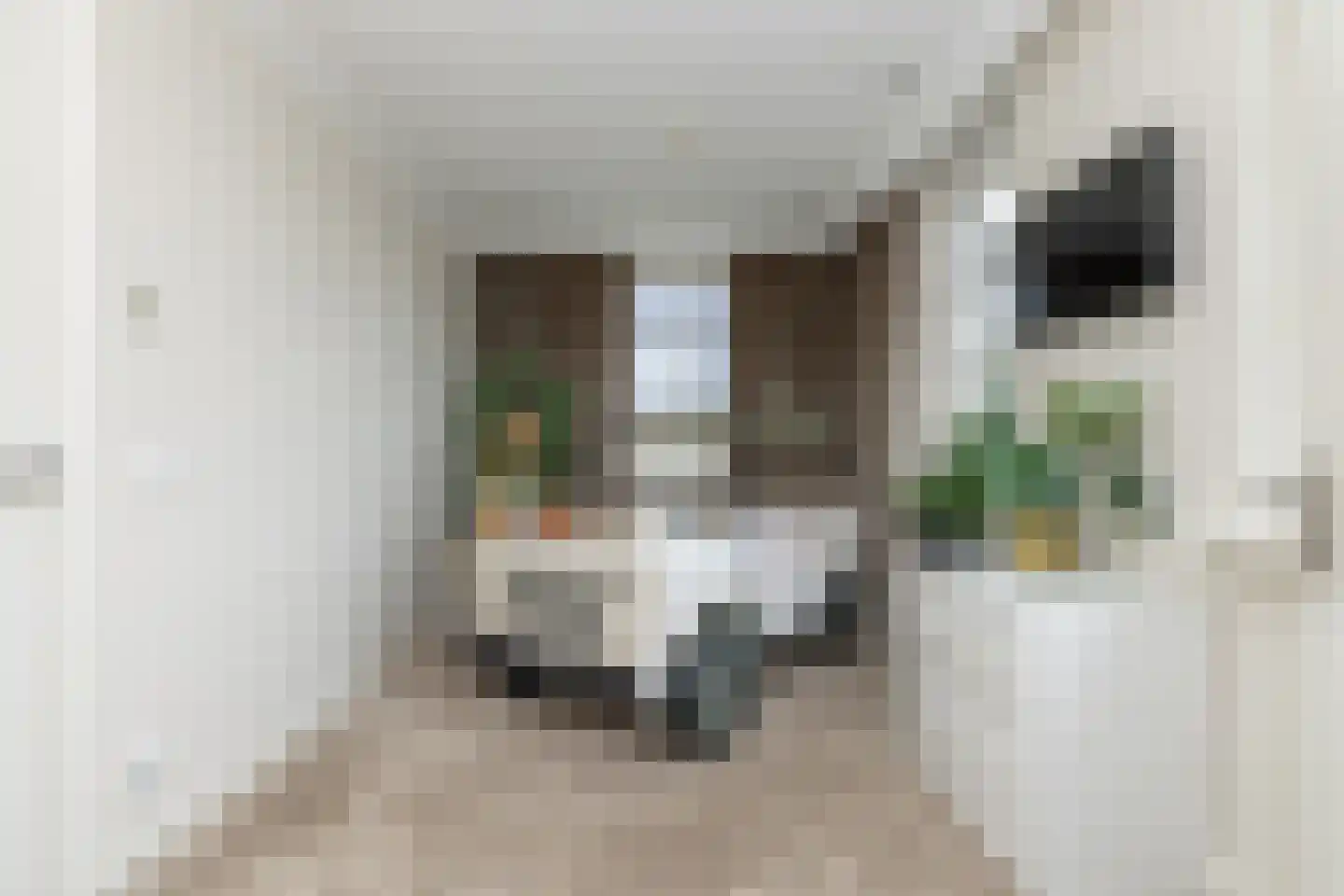 Edelhert 4 Hoogeveen thumbnail 51